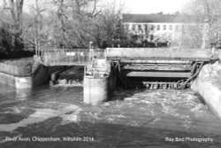 River Avon, Chippenham, Wiltshire 2014 Wallpaper