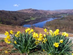 Wandering Lonely Above Grasmere Wallpaper