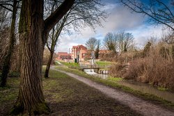 Louth Canal continued Wallpaper