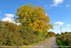 Littleton Drew Lane, Acton Turville, Gloucestershire 2015 Wallpaper