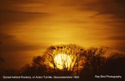 Sunset over Rookery, Acton Turville, Gloucestershire 1983 Wallpaper