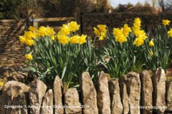 Springtime, Acton Turville, Gloucestershire 2014 Wallpaper