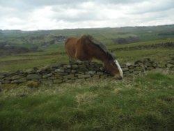 PEAK DISTRICT NATIONAL PARK