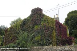 Foliage-clad House, The Street, Burton, Wiltshire 2011 Wallpaper