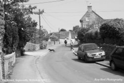 The Street, Sopworth, Wiltshire 2012 Wallpaper