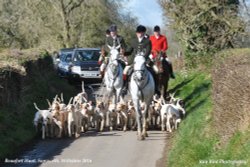 Beaufort Hunt, Sopworth, Wiltshire 2016 Wallpaper