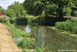 River Avon, Great Somerford, Wiltshire 2015 Wallpaper