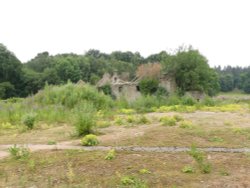 Abandoned building project taken over by nature Wallpaper