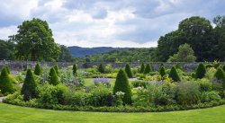 Aberglasney Garden Wallpaper