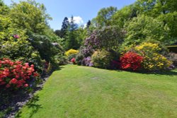 Stody Lodge Garden Wallpaper