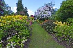 Stody Lodge Garden Wallpaper