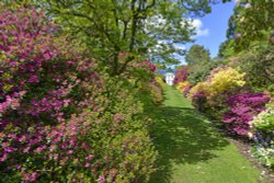 Stody Lodge Garden Wallpaper