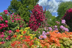 Stody Lodge Garden Wallpaper