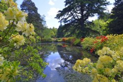 Stody Lodge Garden Wallpaper