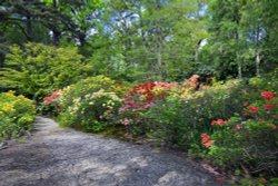 Stody Lodge Garden Wallpaper