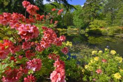 Stody Lodge Garden Wallpaper