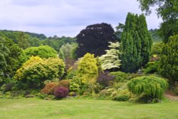 Mount Ephraim Garden Wallpaper