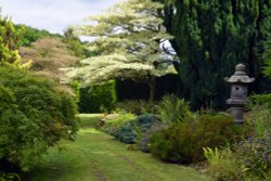 Mount Ephraim Garden Wallpaper