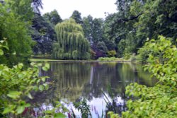 Mount Ephraim Garden Wallpaper