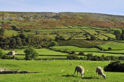 Swaledale, North Yorkshire Wallpaper