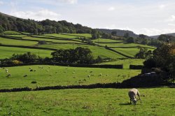 Swaledale, North Yorkshire Wallpaper