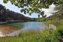 Blue Pool, Furzebrook Wallpaper