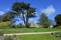 Nymans House and Garden Wallpaper