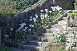 Nymans House and Garden Wallpaper