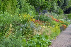 Salutation Garden, Sandwich Wallpaper