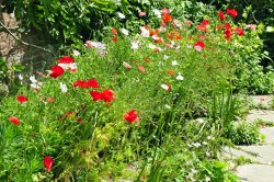 Great Dixter House and Garden Wallpaper