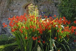 Sissinghurst Castle Wallpaper