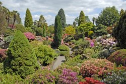 Leonardslee Garden, West Sussex Wallpaper