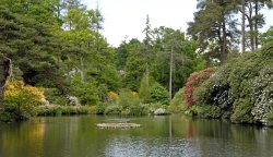 Leonardslee Garden, West Sussex Wallpaper