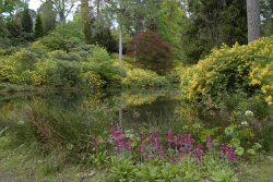 Leonardslee Garden, West Sussex Wallpaper