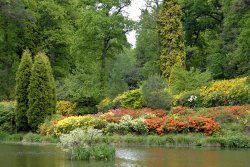 Leonardslee Garden, West Sussex Wallpaper