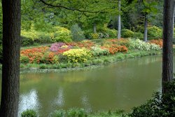 Leonardslee Garden, West Sussex Wallpaper