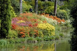 Leonardslee Garden, West Sussex Wallpaper