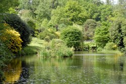 Leonardslee Garden, West Sussex Wallpaper