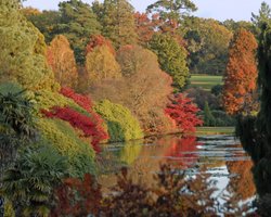 Sheffield Park Garden, Uckfield Wallpaper