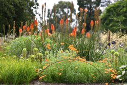 Nymans Garden Wallpaper