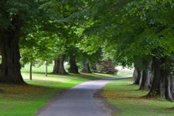 Nymans Grounds Wallpaper