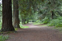 Nymans Grounds Wallpaper