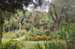 Abbotsbury Tropical Garden Wallpaper