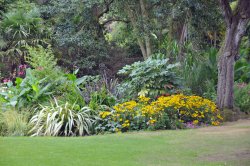 Abbotsbury Tropical Garden Wallpaper