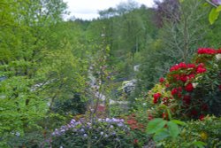 Himalayan Garden and Sculpture Park, near Ripon Wallpaper