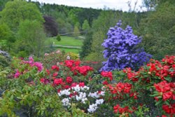 Himalayan Garden and Sculpture Park, near Ripon Wallpaper