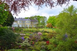 Himalayan Garden and Sculpture Park, near Ripon Wallpaper