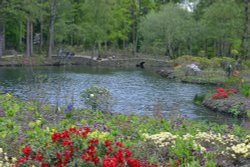 Himalayan Garden and Sculpture Park, near Ripon Wallpaper