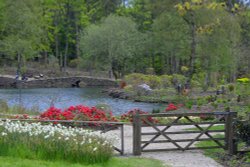 Himalayan Garden and Sculpture Park, near Ripon Wallpaper