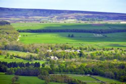 Wensleydale near Leyburn Wallpaper